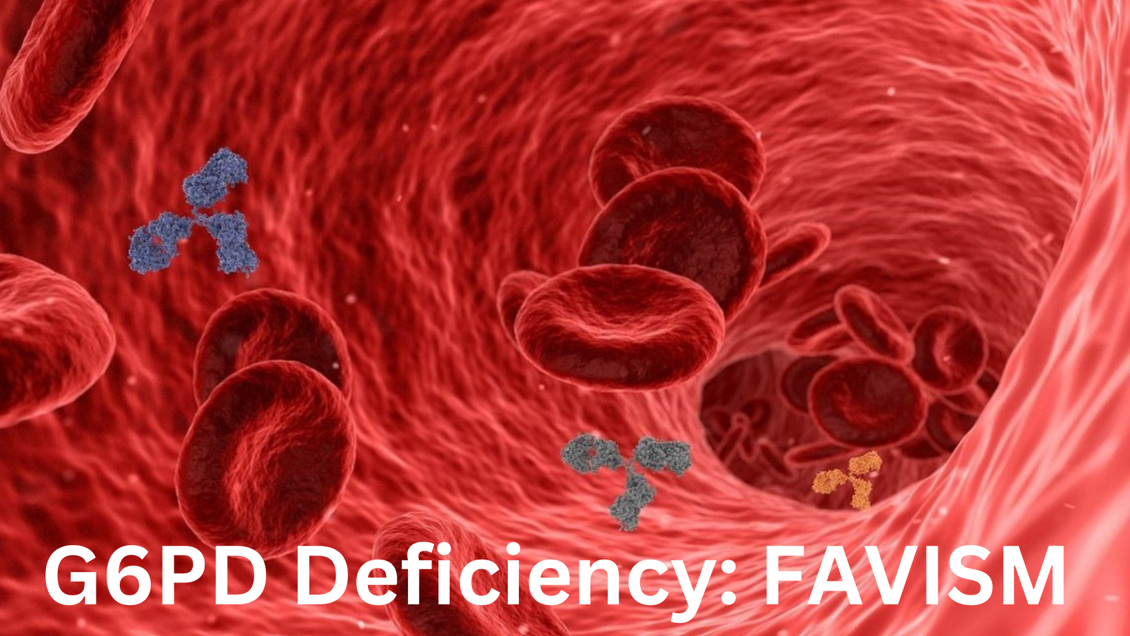 Diseases - Medication Guides